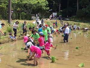 makinosousanomaitaue makino.jpg